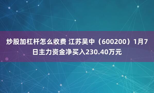 炒股加杠杆怎么收费 江苏吴中（600200）1月7日主力资金净买入230.40万元