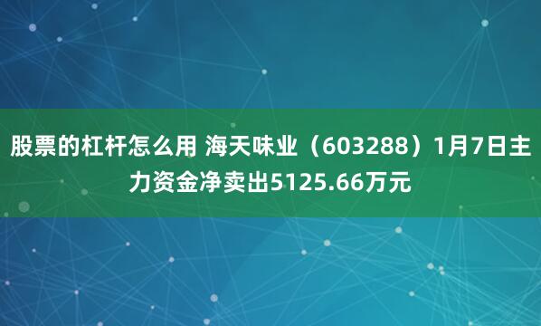 股票的杠杆怎么用 海天味业（603288）1月7日主力资金净卖出5125.66万元