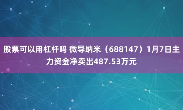 股票可以用杠杆吗 微导纳米（688147）1月7日主力资金净卖出487.53万元