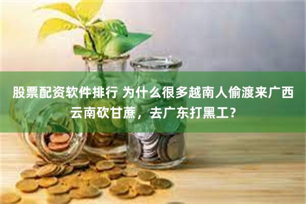 股票配资软件排行 为什么很多越南人偷渡来广西云南砍甘蔗，去广东打黑工？