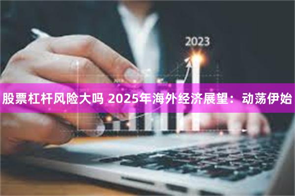 股票杠杆风险大吗 2025年海外经济展望：动荡伊始