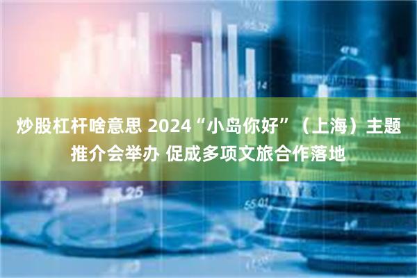 炒股杠杆啥意思 2024“小岛你好”（上海）主题推介会举办 促成多项文旅合作落地